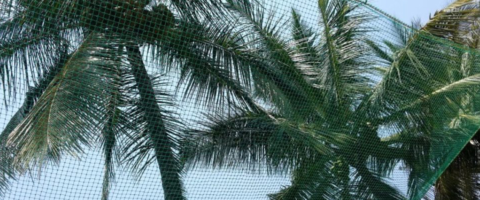 Coconut Safety Nets Dealers